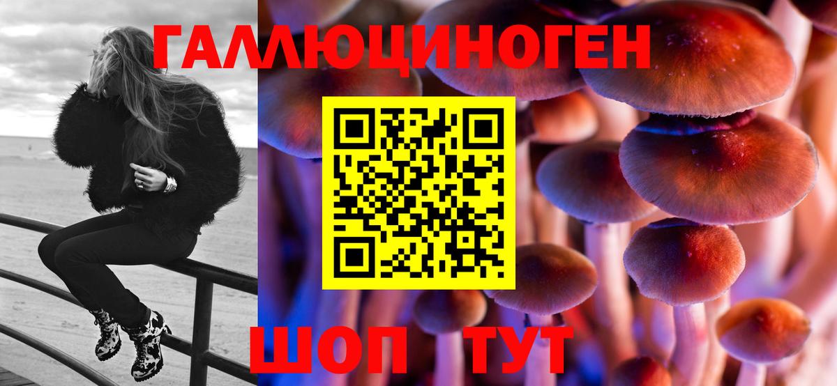 Керчь  Галлюциногенные грибы GOLDEN TEACHER  Вход с VPN  Галлюциногенные грибы ЛСД 