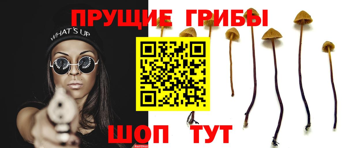 Псилоцибиновые грибы прущие грибы Керчь